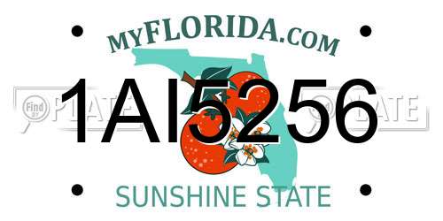 1AI5256 Florida License Plate