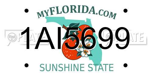 1AI5699 Florida License Plate