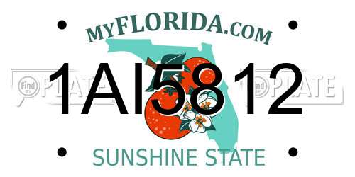 1AI5812 Florida License Plate