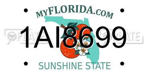 1AI8699 Florida License Plate