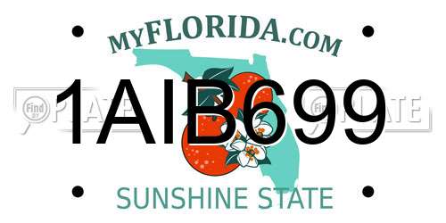 1AIB699 Florida License Plate
