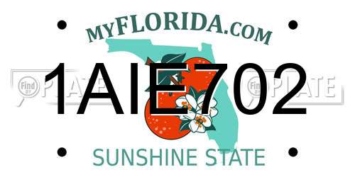 1AIE702 Florida License Plate