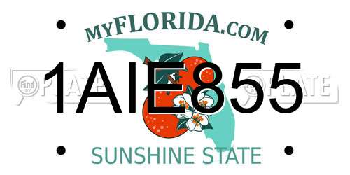 1AIE855 Florida License Plate