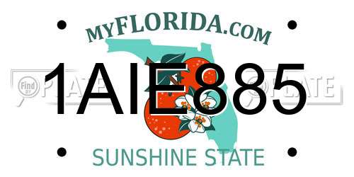 1AIE885 Florida License Plate