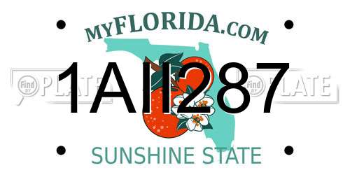 1AII287 Florida License Plate