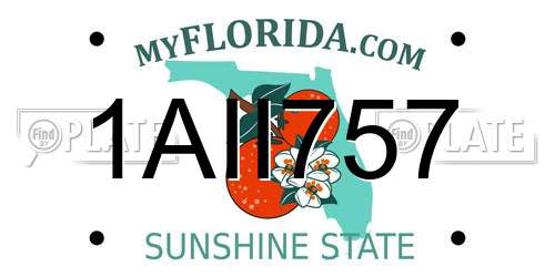 1AII757 Florida License Plate