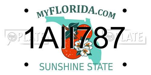 1AII787 Florida License Plate
