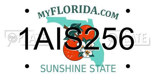 1AIS256 Florida License Plate