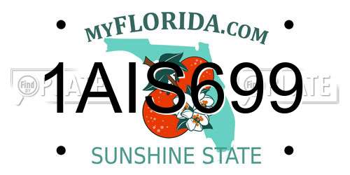 1AIS699 Florida License Plate