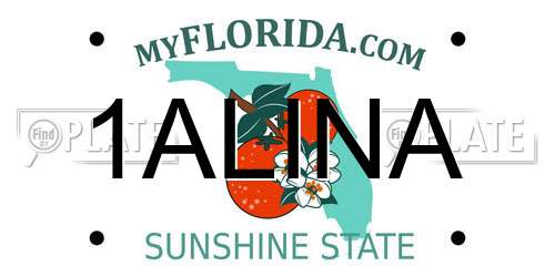 1ALINA Florida License Plate