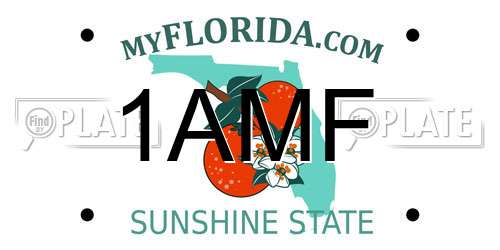 1AMF Florida License Plate