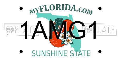 1AMG1 Florida License Plate