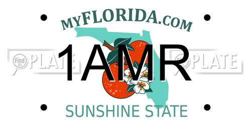 1AMR Florida License Plate