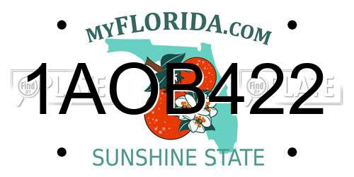 1AOB422 Florida License Plate
