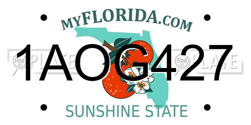 1AOG427 Florida License Plate