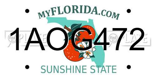 1AOG472 Florida License Plate