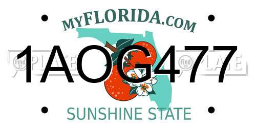 1AOG477 Florida License Plate