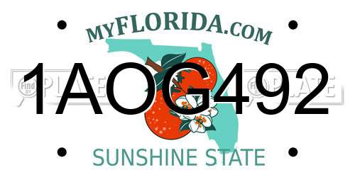 1AOG492 Florida License Plate