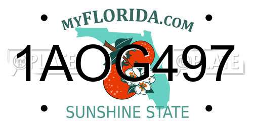 1AOG497 Florida License Plate