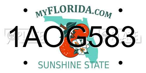 1AOG583 Florida License Plate