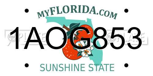 1AOG853 Florida License Plate