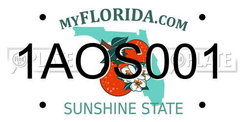 1AOS001 Florida License Plate