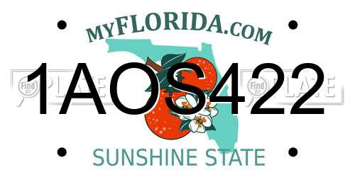 1AOS422 Florida License Plate