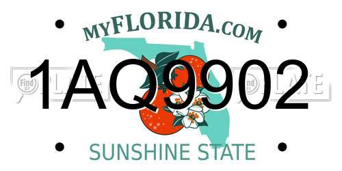 1AQ9902 Florida License Plate