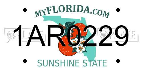 1AR0229 Florida License Plate