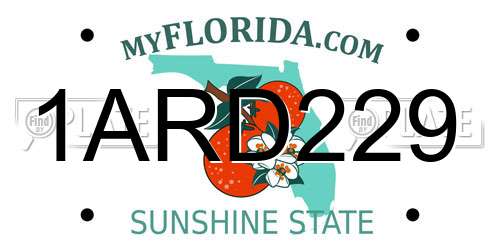 1ARD229 Florida License Plate