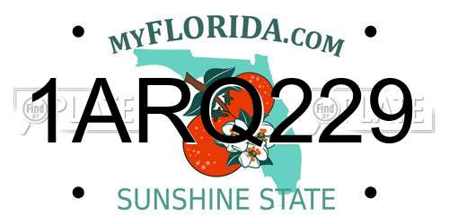 1ARQ229 Florida License Plate