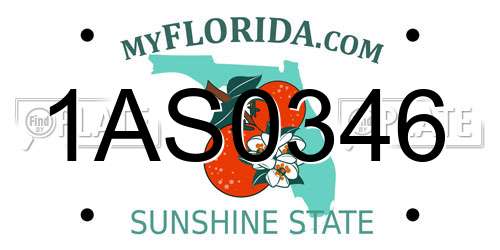 1AS0346 Florida License Plate