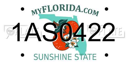 1AS0422 Florida License Plate