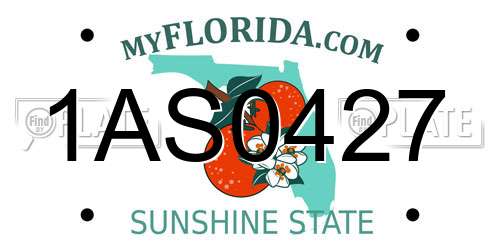 1AS0427 Florida License Plate