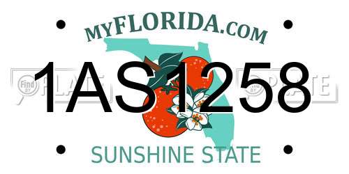 1AS1258 Florida License Plate