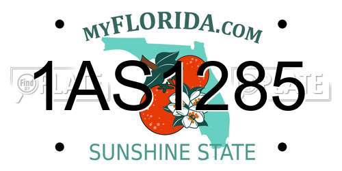 1AS1285 Florida License Plate