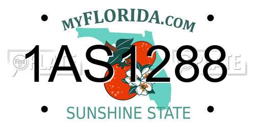1AS1288 Florida License Plate