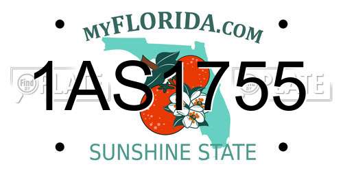 1AS1755 Florida License Plate