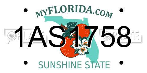 1AS1758 Florida License Plate