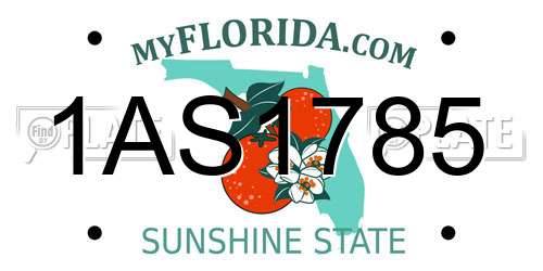1AS1785 Florida License Plate