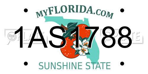1AS1788 Florida License Plate