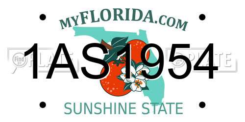 1AS1954 Florida License Plate