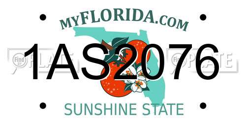 1AS2076 Florida License Plate