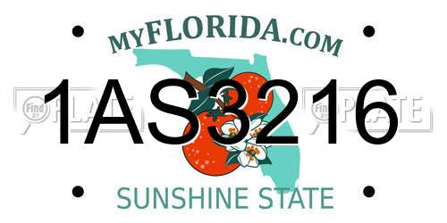 1AS3216 Florida License Plate