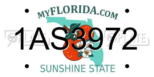 1AS3972 Florida License Plate