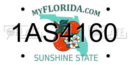 1AS4160 Florida License Plate