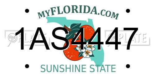 1AS4447 Florida License Plate