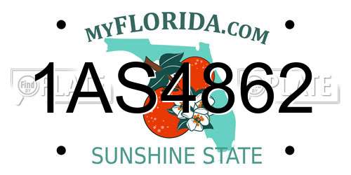 1AS4862 Florida License Plate