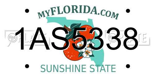 1AS5338 Florida License Plate