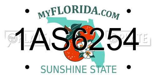 1AS6254 Florida License Plate